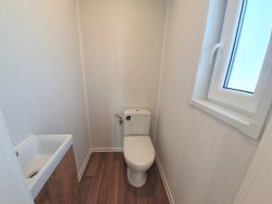 117241364_1234068403601103_4233787395146923624_n