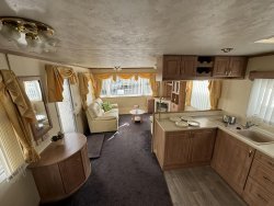 423036606_1713298099496248_4832771669017054131_n